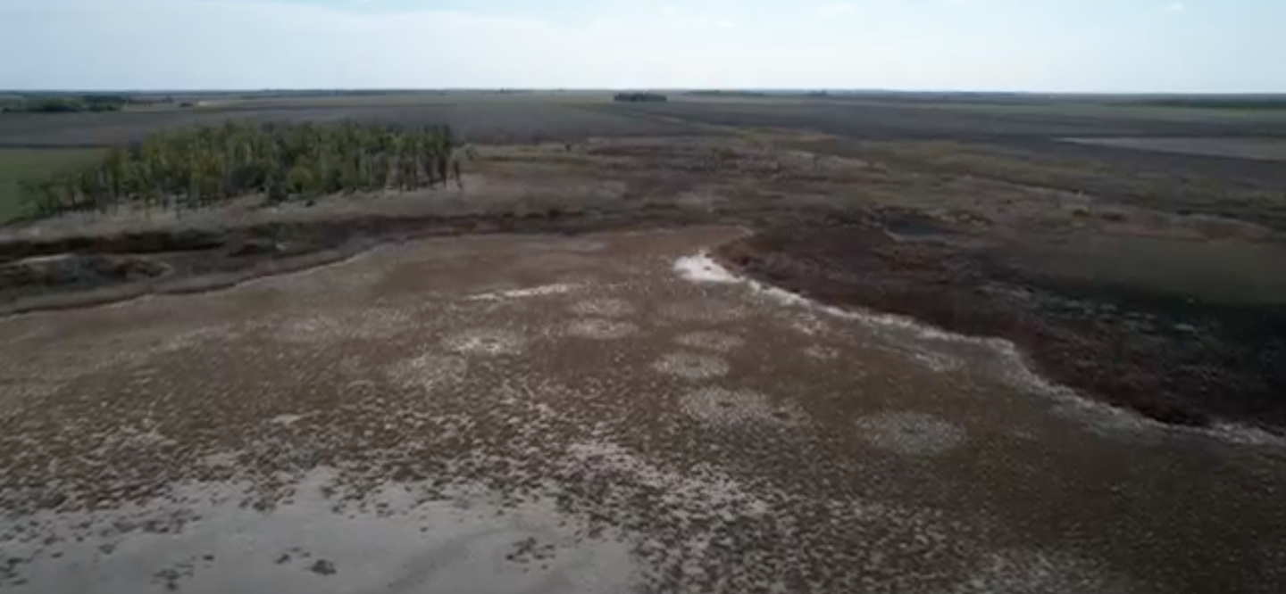 Hungary's rich agriculture is under threat from desertification