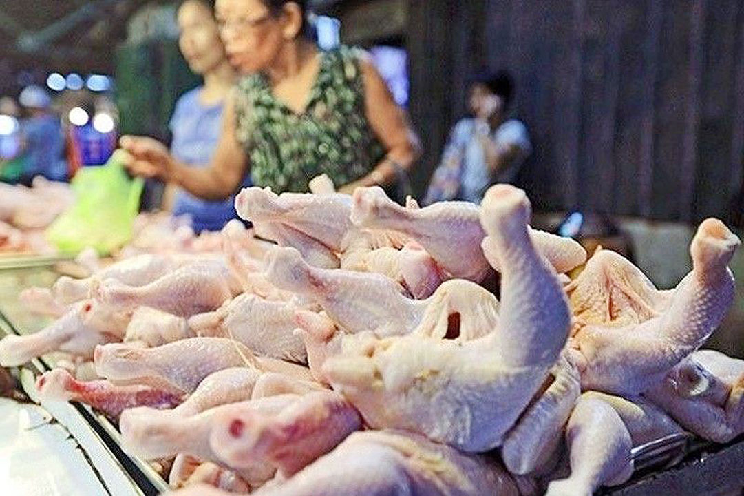 Higher costs holding back chicken production