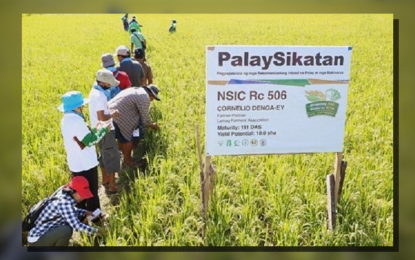 DA expands RCEF demo sites in 4 La Union towns