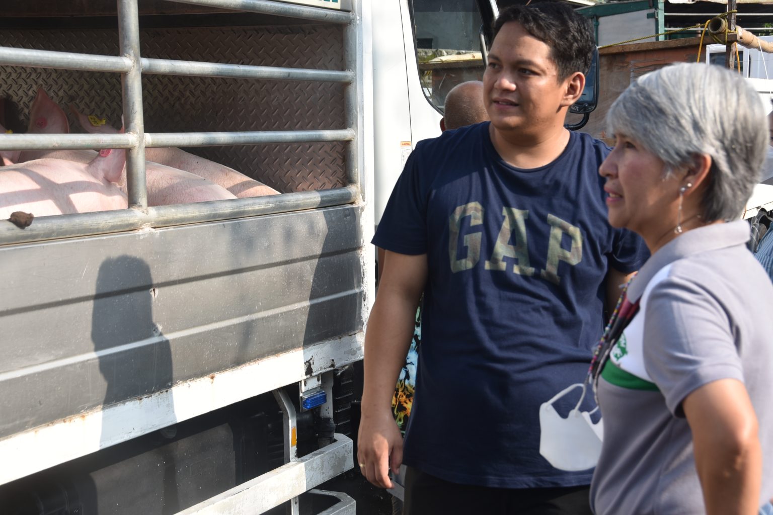 DA&rsquo;s INSPIRE Program grants 120 pigs to Lipa hog raisers