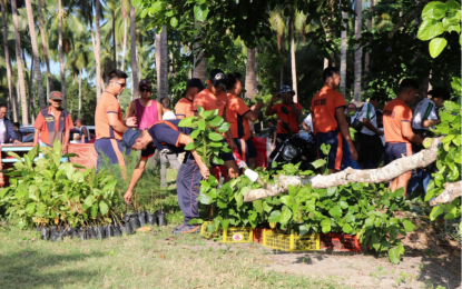 DENR bolsters turtle nesting site preservation in Agusan Norte