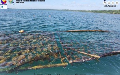 BFAR, LGU to expand seaweed nursery in Pangasinan