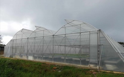 NEA urged to energize sitio hosting Antique&rsquo;s greenhouse project