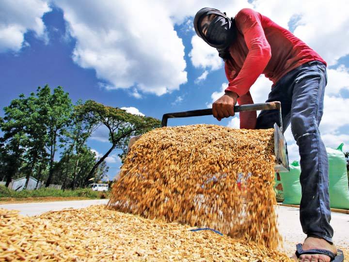 Proposed P5.768-T national budget meant to boost agriculture sector