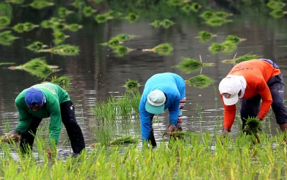 Pursuit to boost local food production continues &ndash; Marcos