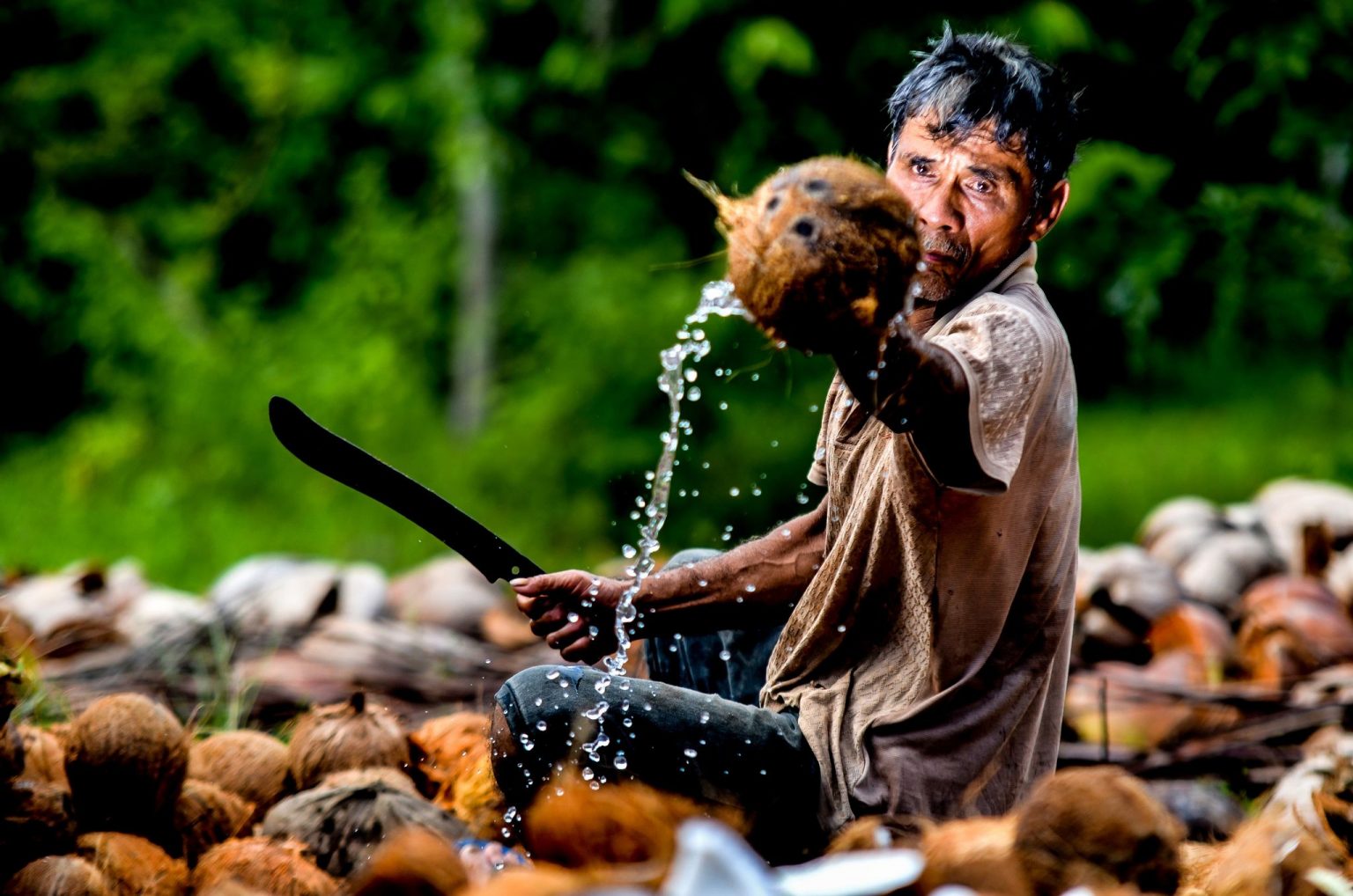 DA-PCA clears 2.9M coconut farmers as beneficiaries of industry dev&rsquo;t plan