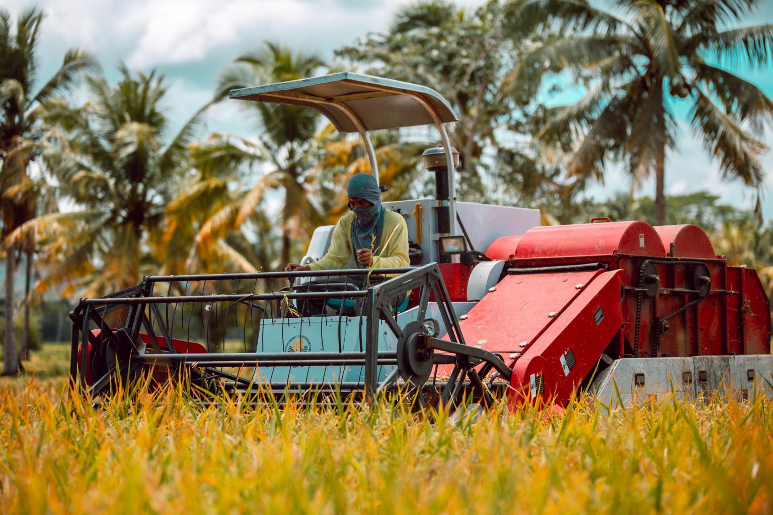Agri showing signs of recovery &ndash; DA