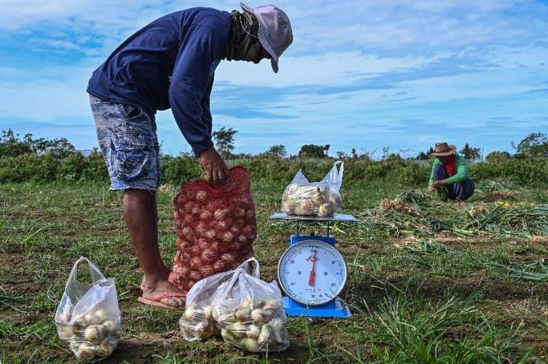 PhilSA, DA to conduct joint research on corn, onion using satellite data