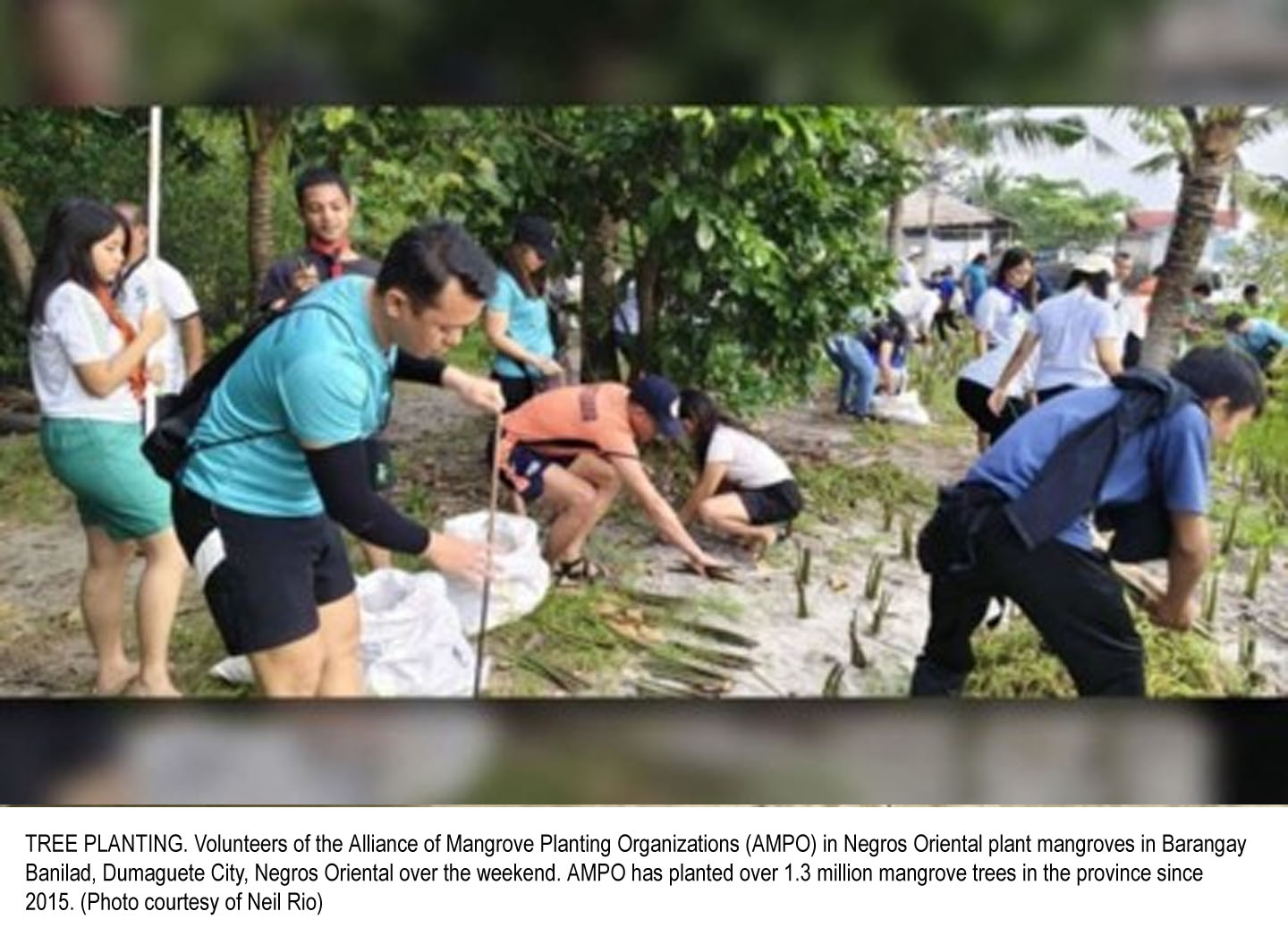Alliance plants over 1.3 million mangroves in Negros Oriental to fight climate change