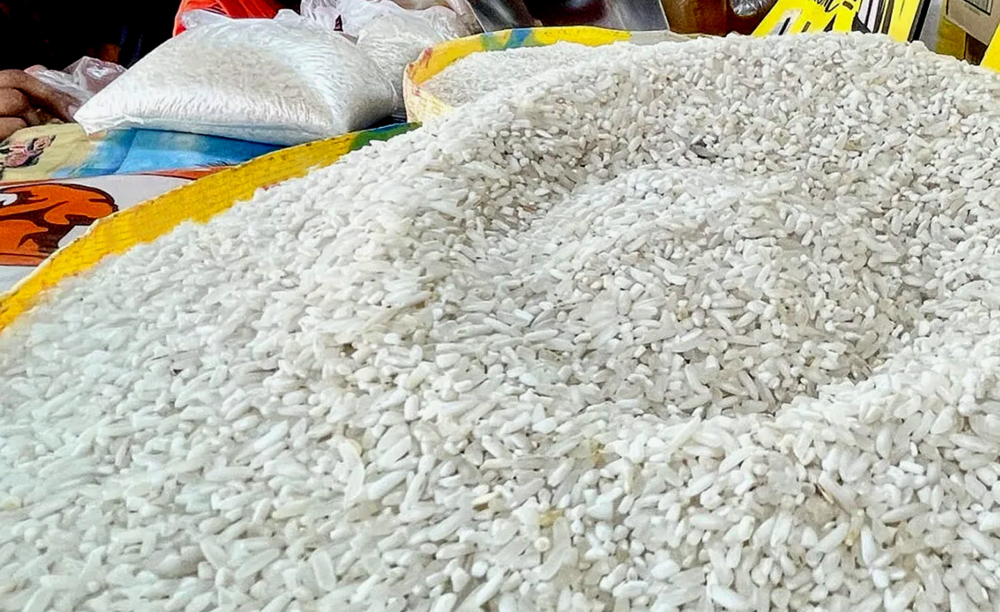 DA Sets 2026 Agenda: Fair Palay Pricing, ?20 Rice Expansion, Faster Farm Roads