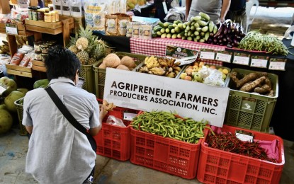 PBBM bets on success of &lsquo;Kadiwa&rsquo;, addt'l profits for farmers