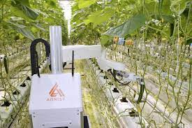 FOCUS: Use of AI-based robots on the rise in Japanese agriculture