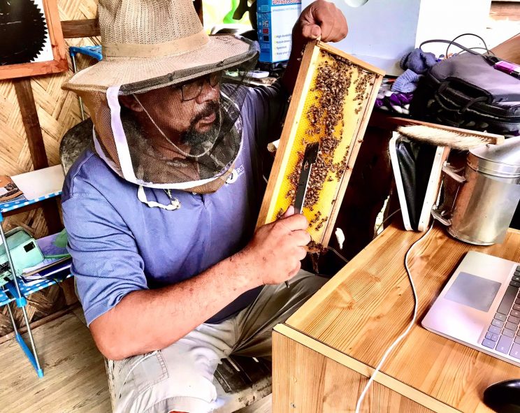 Bee the next best beekeeper: Beekeeper in Lipa, Batangas shares his wealth of knowledge in beekeeping