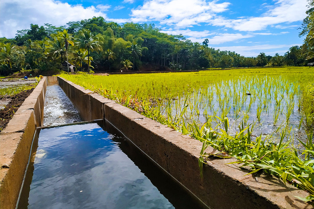 Looming El Ni&ntilde;o highlights need for additional support to irrigation