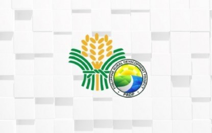 DA urges agri-fishery sector to adopt digital marketing