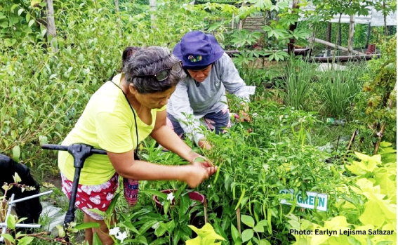 ATI boosts women&rsquo;s role in agriculture through training programs