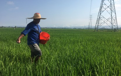 Paeng affects 74.9K farmers, fishers