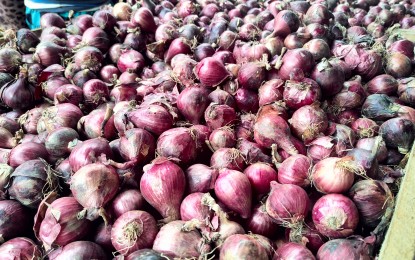 SINAG: Onion farmgate, retail price gap must be addressed
