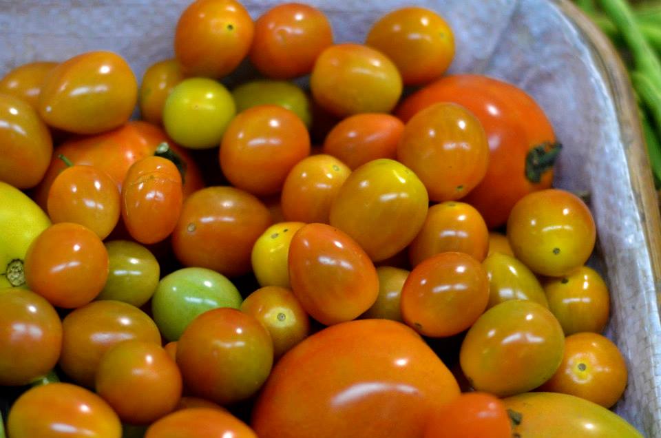 DA intensifies market linkages as part of PBBM admin&rsquo;s push to prevent oversupply, wastage of agri products