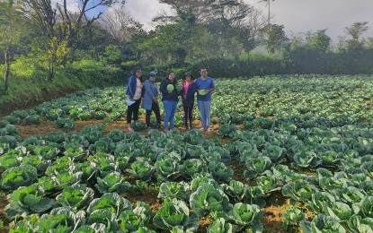 Farmers&rsquo; debt condonation bill up for PBBM&rsquo;s signature