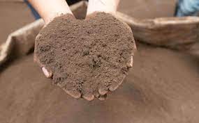 From waste to treasure: Davao company turns biodegradable waste into biofertilizer