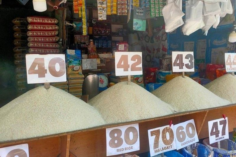 Marcos OK'd extension of lower pork, corn, rice tariff rates &mdash; NEDA