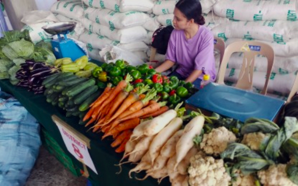 Iloilo town ready to boost vegetable supply amid fuel price concerns