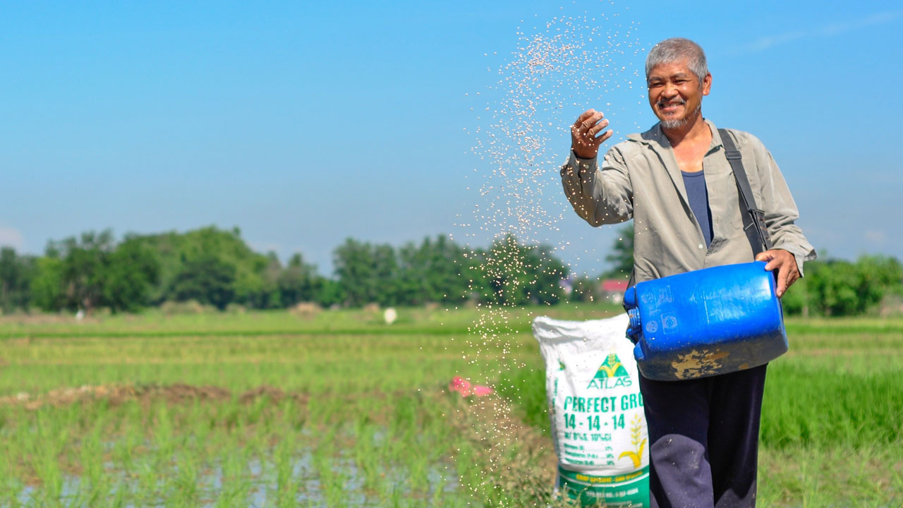Biofertilizer shift to benefit from expertise in state universities