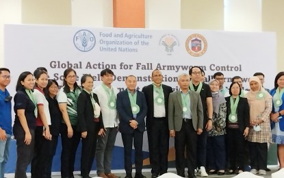 4 Pangasinan LGUs showcase best practices vs. fall armyworm