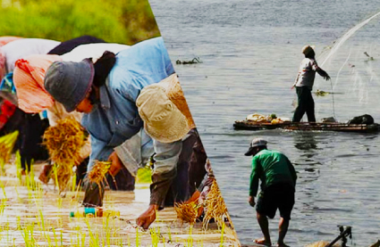 116 Davao de Oro farmers get fuel discount cards from DA