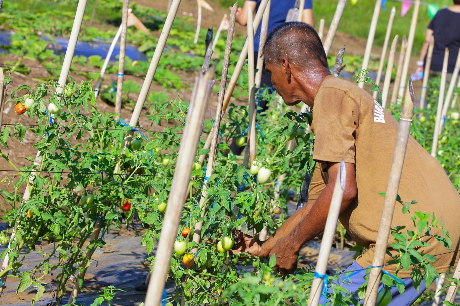 PDLs look forward to benefits of DA, DOJ project