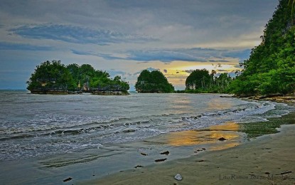 Red tide warning still up in 2 Samar bays