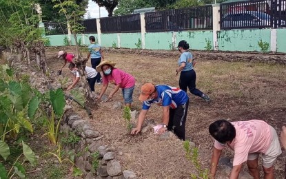 Ilocos Norte schools embrace urban gardening
