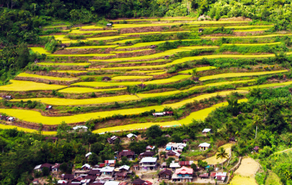 Kalinga rolls out free rides, rice aid, and farm support amid oil price surge