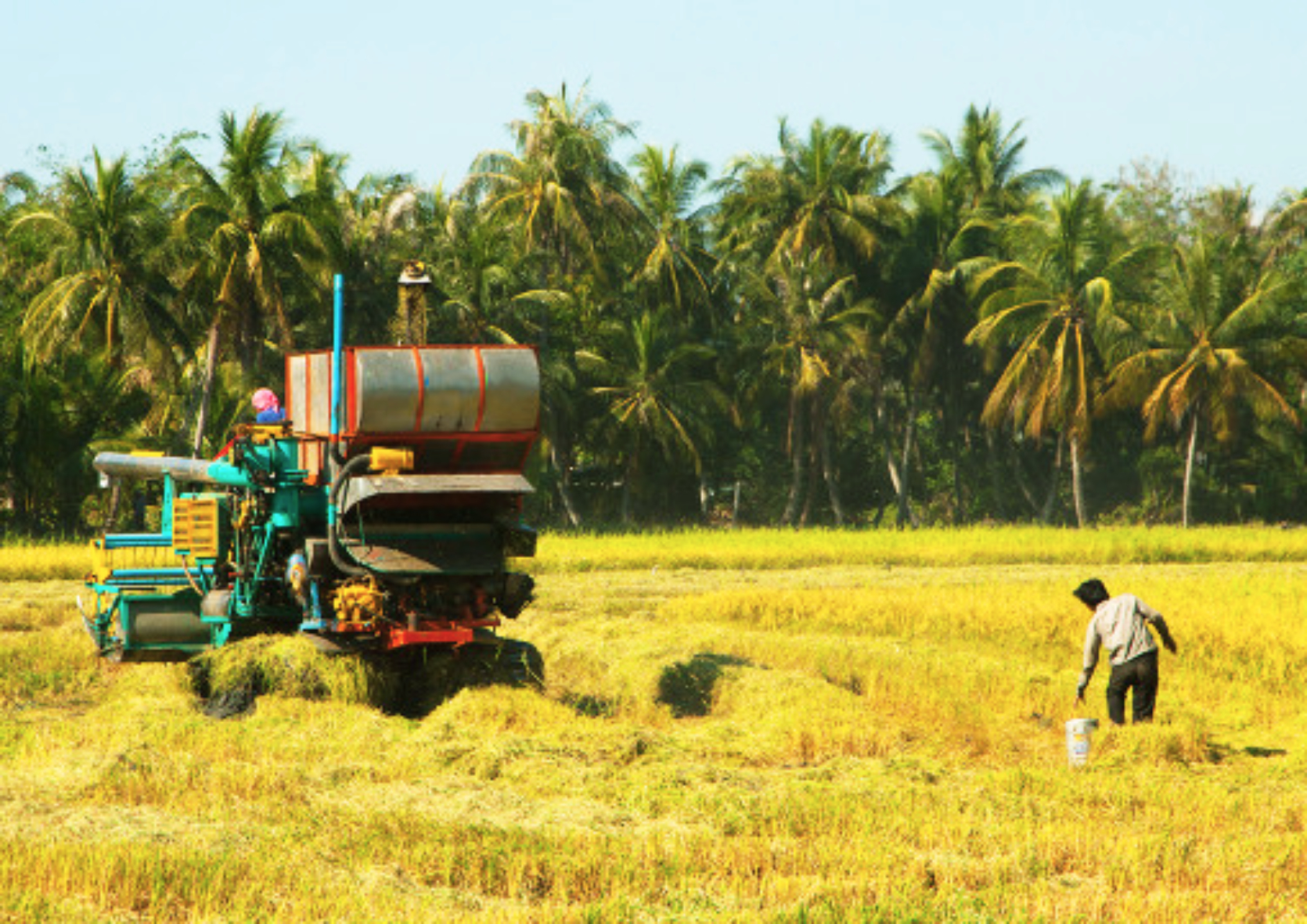 Bayambang Boosts Farm Modernization with Equipment, Cold Storage Projects