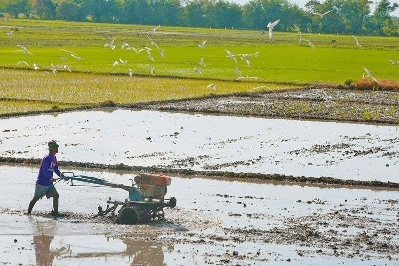 &lsquo;Importers should pay pre-inspection cost of agricultural products&rsquo;