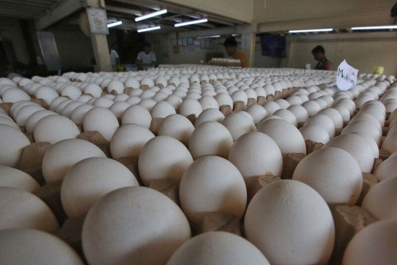 Department of Agriculture lifts ban on poultry products from Ireland, Netherlands