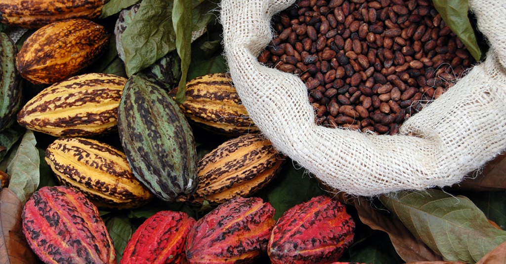 Cacao processing center set to rise in Davao&rsquo;s Paquibato district