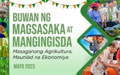 Albay, CamSur farmers receive P135-M agri inputs from gov't