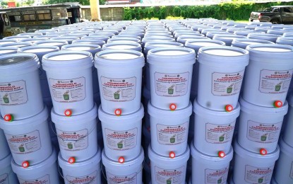 Urban villages in Laoag urged to adopt household composting