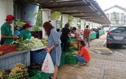 Kadiwa generates over P240-M sales for farmers in W. Visayas