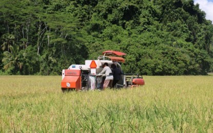 DA-13 maps vulnerable Caraga farms ahead of El Ni&ntilde;o impact