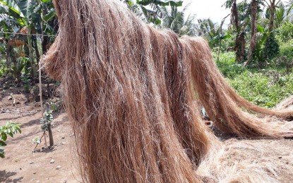 PhilFIDA to hold fiber crops summit on Nov. 14 - PCO