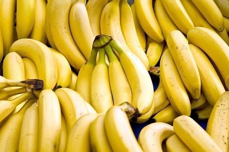Philippines still world&rsquo;s second biggest banana exporter