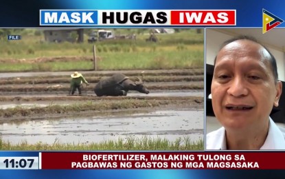 DA exec maintains use of biofertilizer cheaper, eco-friendly