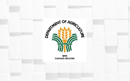 DA-Caraga aims to attain over 100% rice sufficiency by 2025