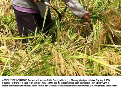 Marcos Administration Delivers P19 Billion in Crop Insurance, Expands Support for Farmers and Fishers