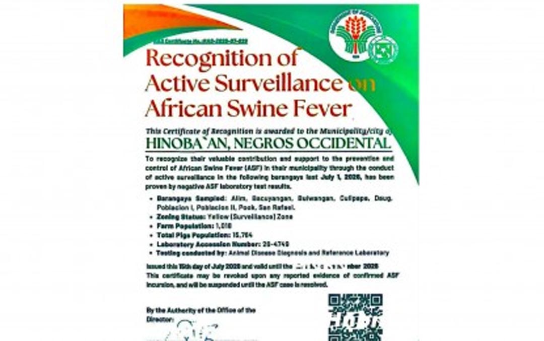 Hinoba-an Earns ASF Surveillance Recognition, Boosting Hog Prices and Market Confidence