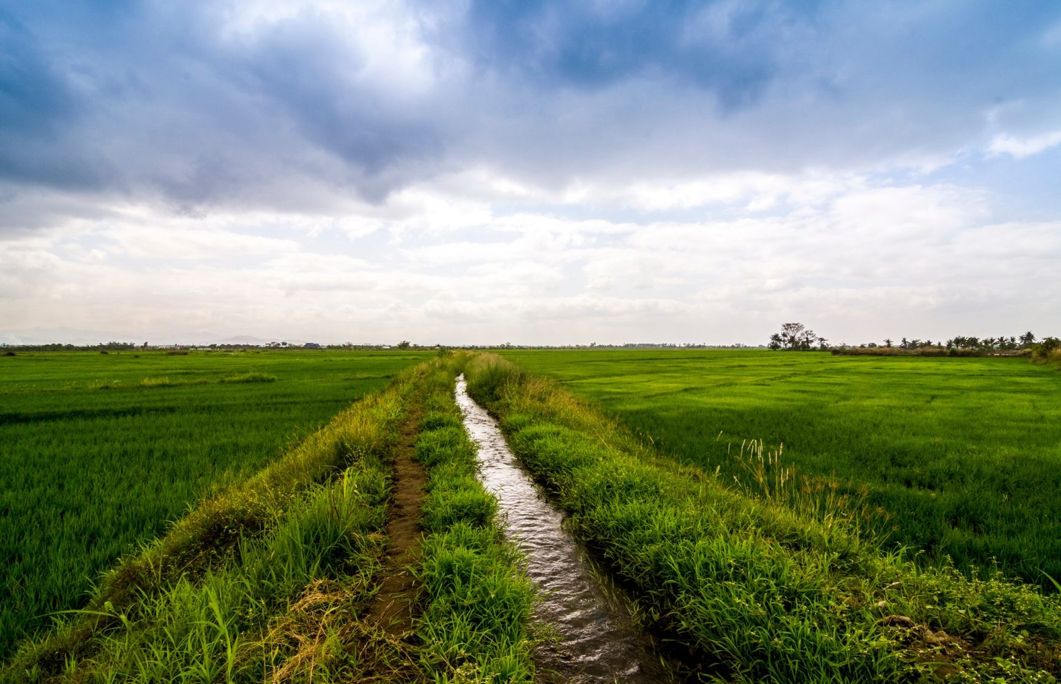 DA assures RP agri will not be affected by Middle East woes