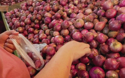 DA eyes &lsquo;regulated&rsquo; importation amid rising onion prices
